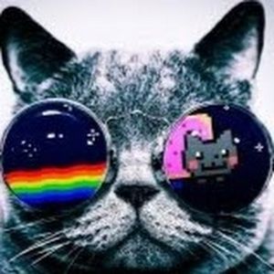 Meet your Posher, Riley